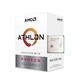 AMD Athlon 3000G