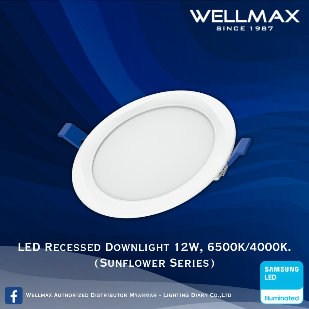 Wellmax Sunflower Series LED Recess Round Downlight 6500K 12W L-DL-0120(R)