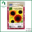 Harvest Shop နေကြာပန်း-အပွင့်လှစုံမျိုးစေ့ HF 011