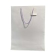 Gift Bag A021078