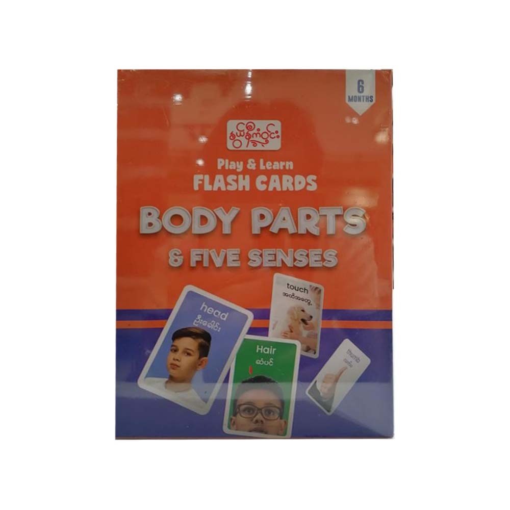 BODY PARTS&FIVE SENSES 24FLASHCARDS- နွယ်နီကံဝင်း